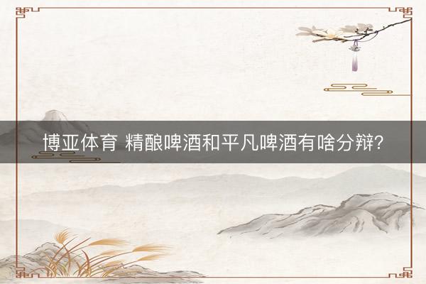 博亚体育 精酿啤酒和平凡啤酒有啥分辩？