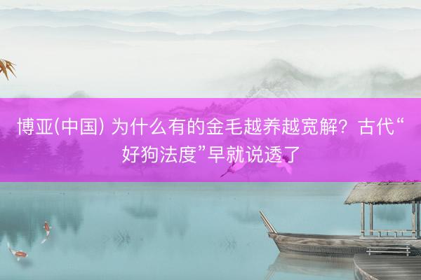 博亚(中国) 为什么有的金毛越养越宽解？古代“好狗法度”早就说透了