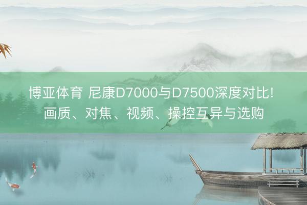 博亚体育 尼康D7000与D7500深度对比! 画质、对焦、视频、操控互异与选购