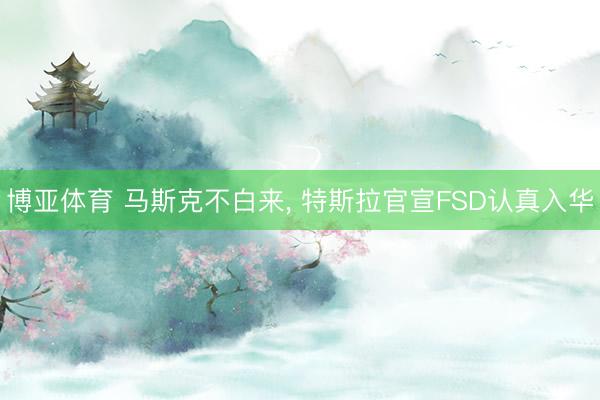 博亚体育 马斯克不白来， 特斯拉官宣FSD认真入华
