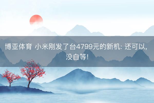 博亚体育 小米刚发了台4799元的新机: 还可以， 没白等!