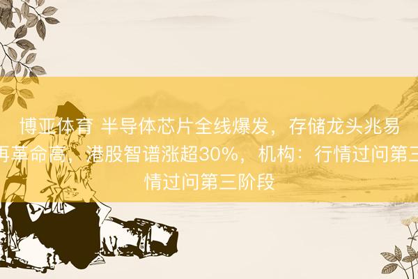 博亚体育 半导体芯片全线爆发，存储龙头兆易革命再革命高，港股智谱涨超30%，机构：行情过问第三阶段