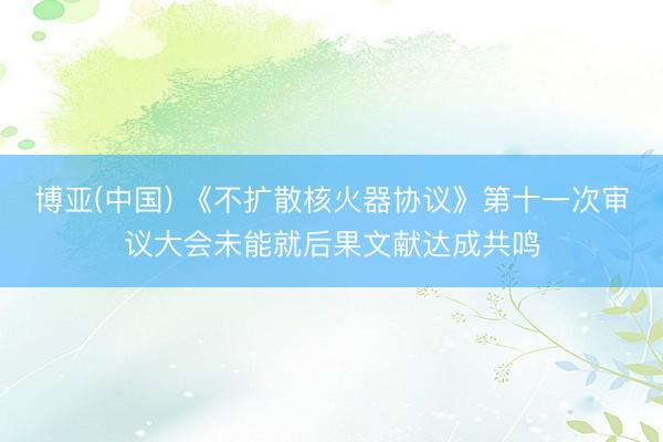 博亚(中国) 《不扩散核火器协议》第十一次审议大会未能就后果文献达成共鸣
