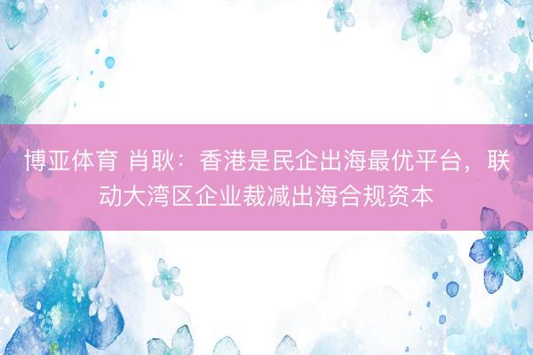 博亚体育 肖耿：香港是民企出海最优平台，联动大湾区企业裁减出海合规资本