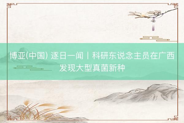 博亚(中国) 逐日一闻丨科研东说念主员在广西发现大型真菌新种
