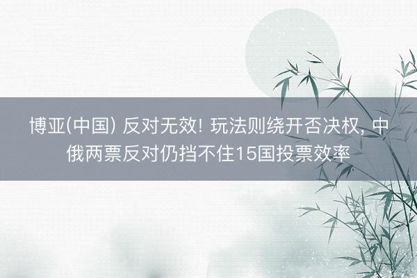 博亚(中国) 反对无效! 玩法则绕开否决权， 中俄两票反对仍挡不住15国投票效率