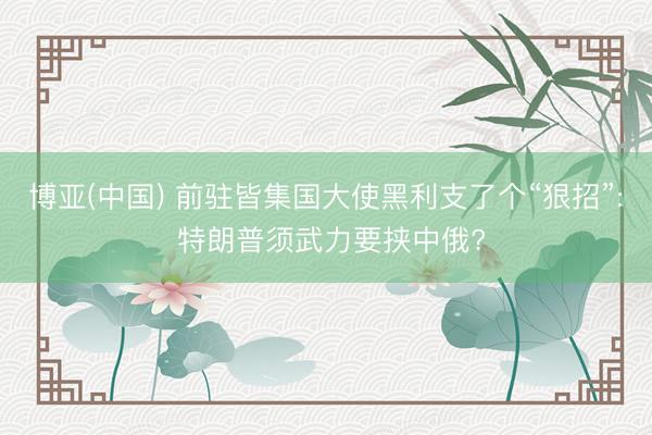 博亚(中国) 前驻皆集国大使黑利支了个“狠招”: 特朗普须武力要挟中俄?