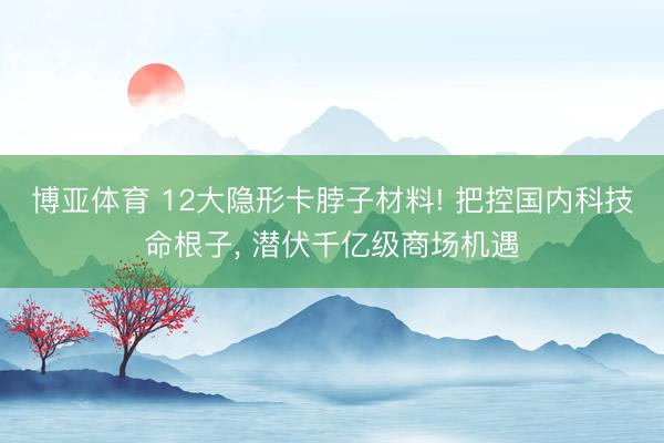 博亚体育 12大隐形卡脖子材料! 把控国内科技命根子， 潜伏千亿级商场机遇