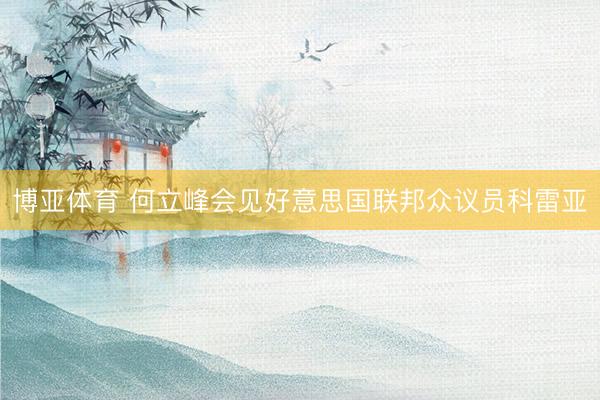 博亚体育 何立峰会见好意思国联邦众议员科雷亚